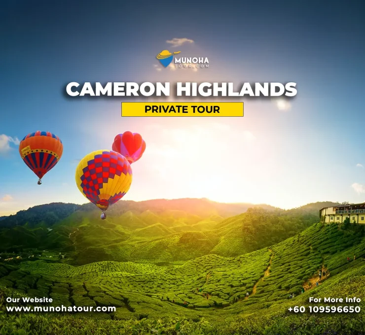 Tourists exploring the lush tea plantations and cool climate during Cameron Highlands tour, with scenic views and vibrant flower gardens.