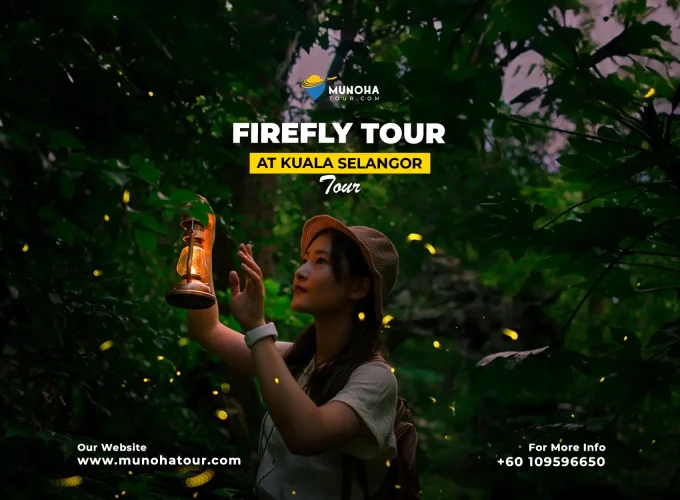 Visitors marveling at the mesmerizing display of fireflies illuminating the mangrove forest during a night boat fireflies watching tour.