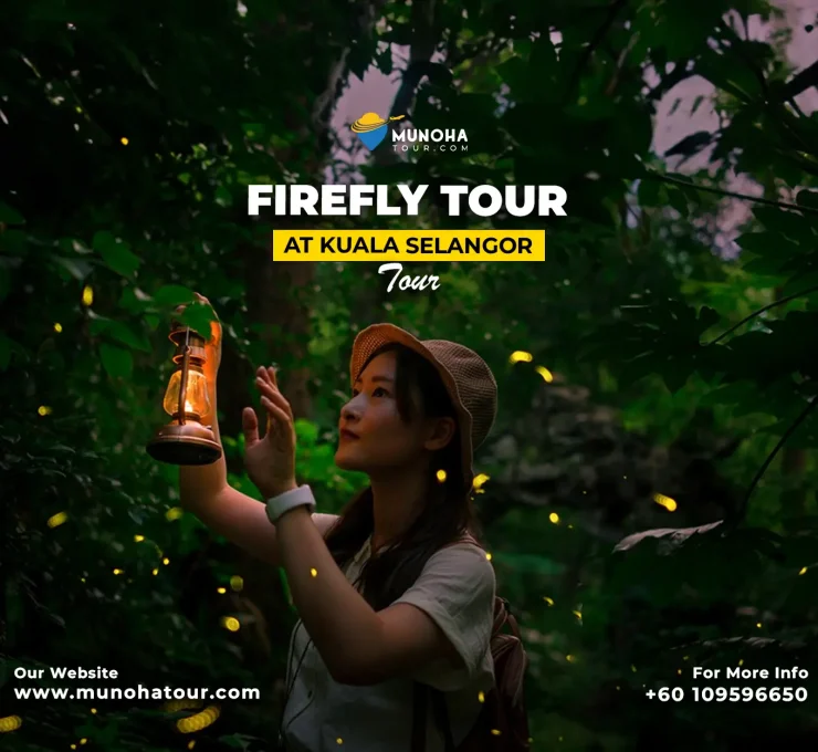 Visitors marveling at the mesmerizing display of fireflies illuminating the mangrove forest during a night boat fireflies watching tour.