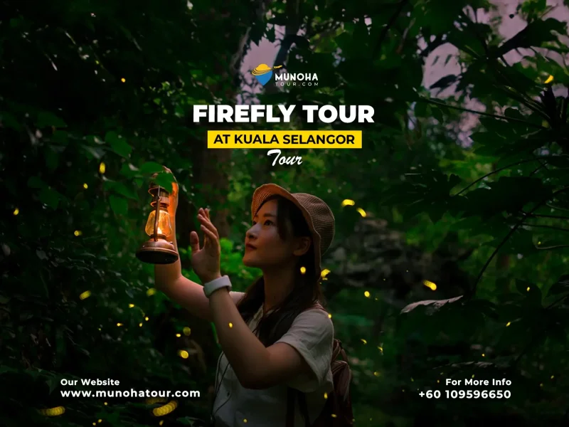 Visitors marveling at the mesmerizing display of fireflies illuminating the mangrove forest during a night boat fireflies watching tour.