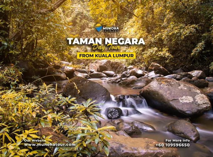 Scenic view of Taman Negara's ( Tur Sehari di Taman Negara ) ancient rainforest with lush greenery, towering trees, and a guided tour group exploring the diverse wildlife and rich natural beauty.