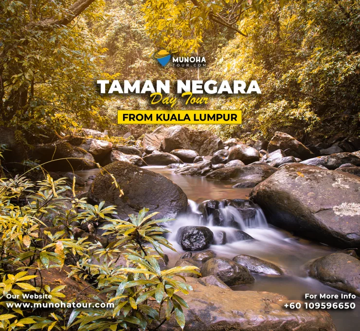 Scenic view of Taman Negara’s lush rainforest canopy and river during a Taman Negara Day Tour